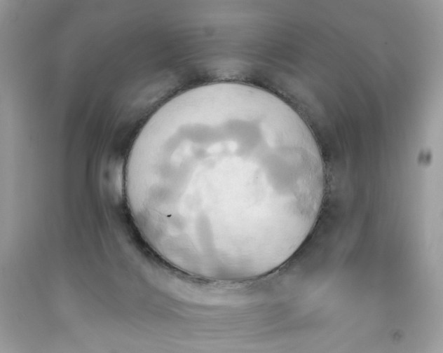 X0000091580028200709051110