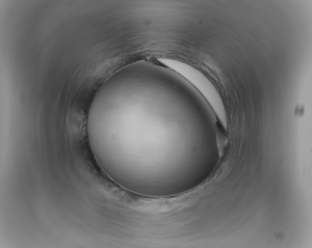 X0000091580029200709051110