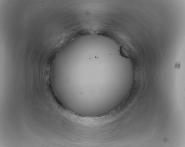 X0000091580030200709051110