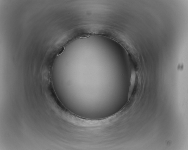 X0000091580031200709051110