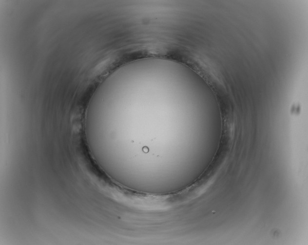 X0000091580032200709051110