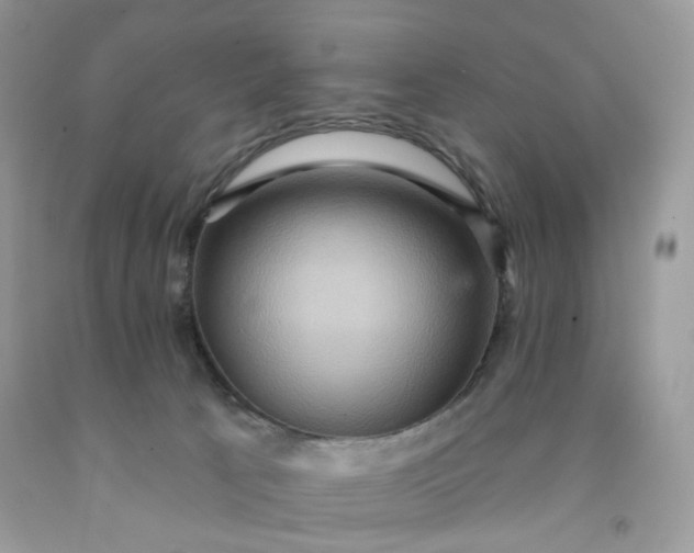 X0000091580033200709051110