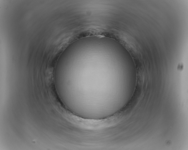 X0000091580034200709051110