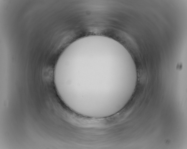 X0000091580036200709051110