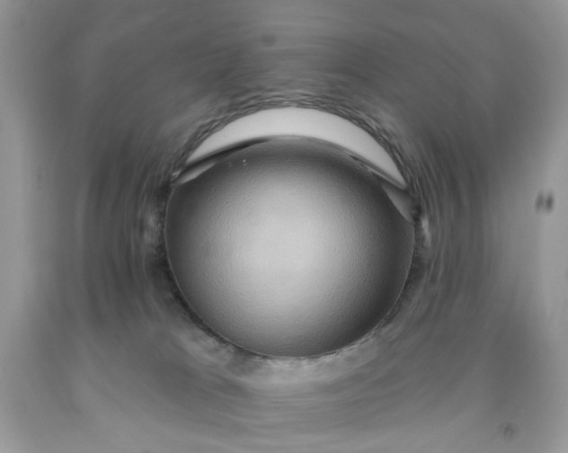 X0000091580037200709051110