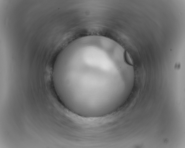 X0000091580038200709051110