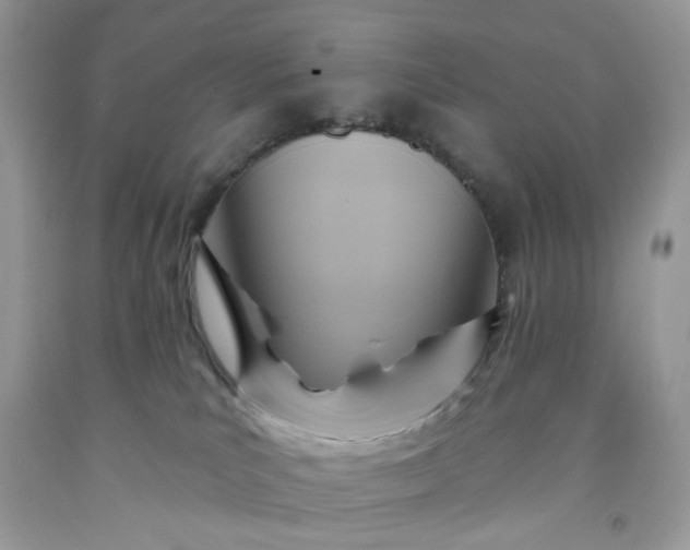 X0000091580039200709051110