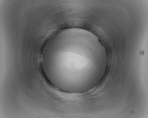 X0000091580040200709051110