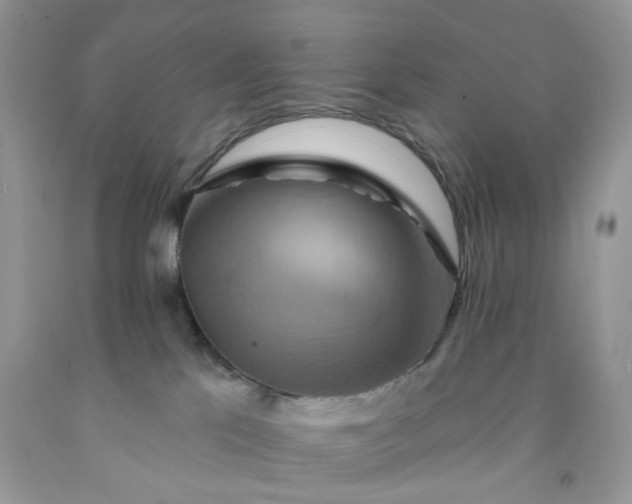 X0000091580041200709051110