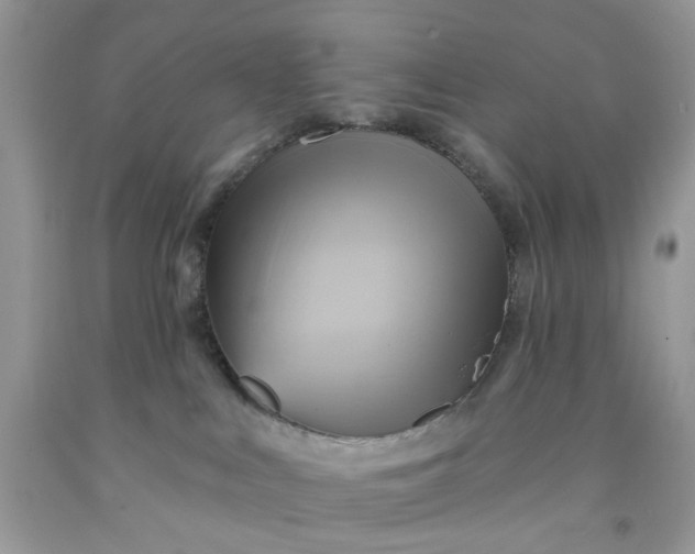 X0000091580043200709051110