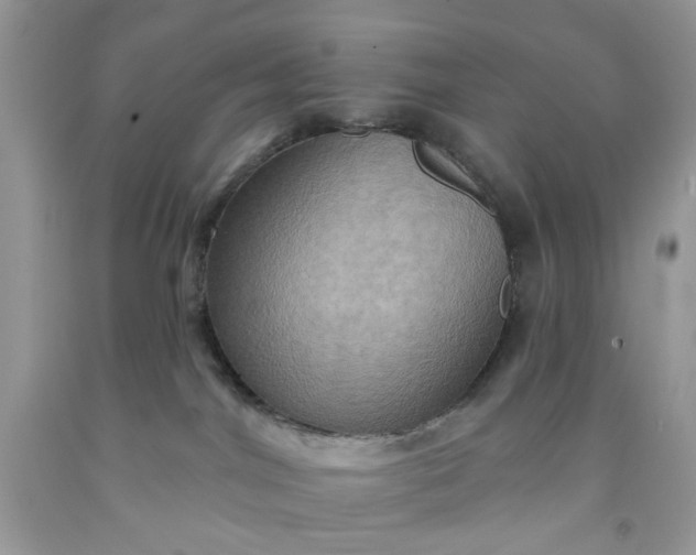 X0000091580044200709051110