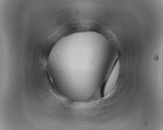 X0000091580045200709051110