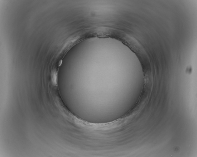 X0000091580046200709051110