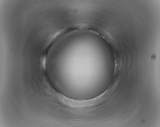 X0000091580047200709051110