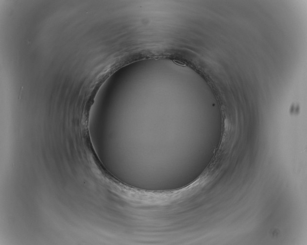 X0000091580048200709051110