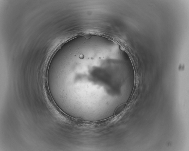 X0000091580049200709051109