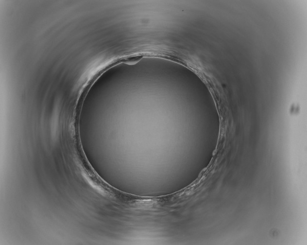 X0000091580050200709051109