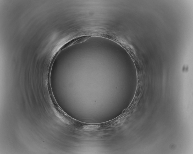 X0000091580051200709051109