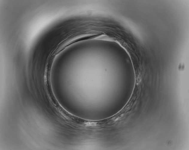 X0000091580052200709051109