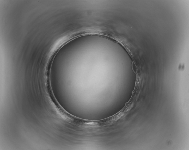 X0000091580053200709051109