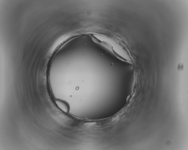 X0000091580054200709051109