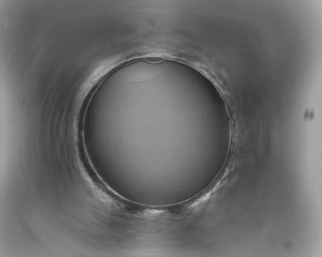 X0000091580055200709051109