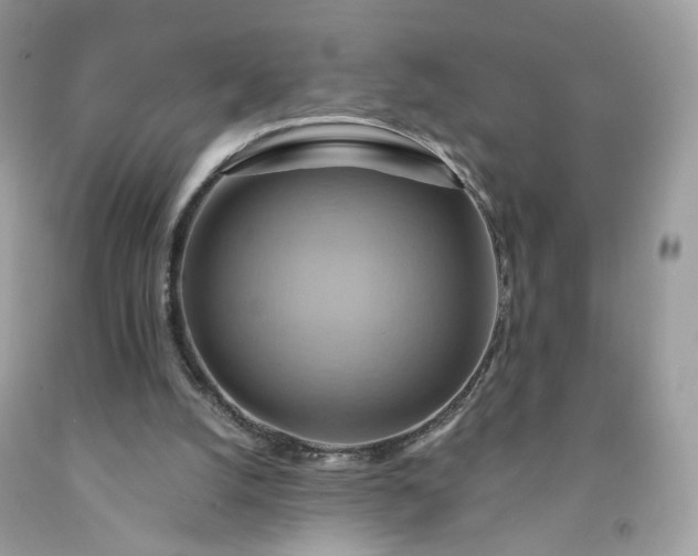 X0000091580056200709051109