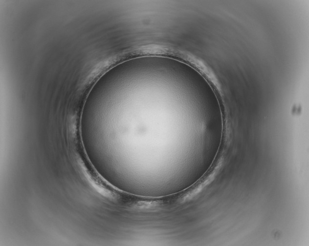 X0000091580057200709051109