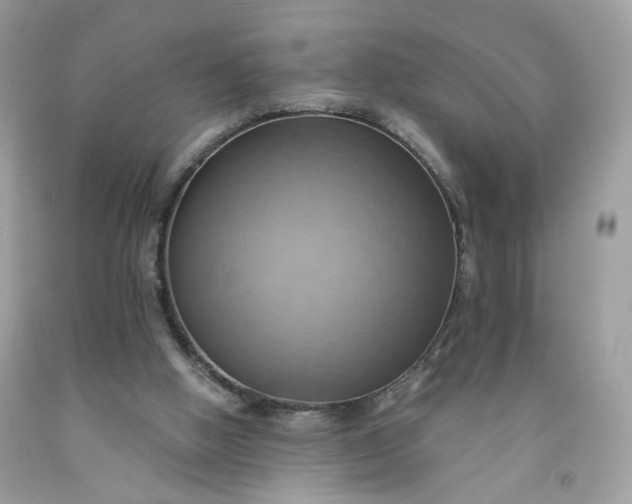 X0000091580058200709051109