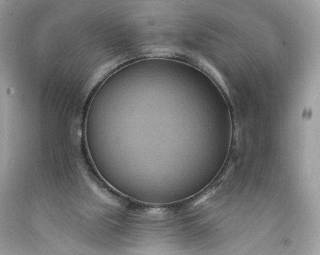 X0000091580059200709051109