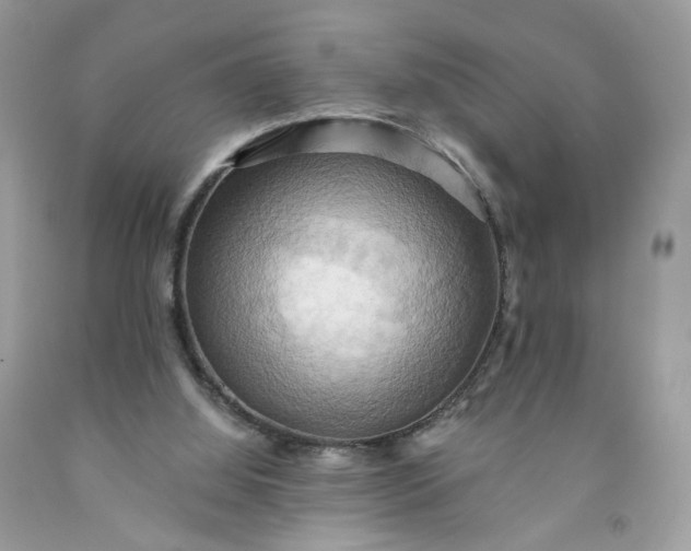 X0000091580060200709051109