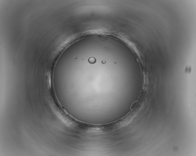 X0000091580061200709051109