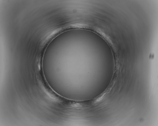 X0000091580062200709051109