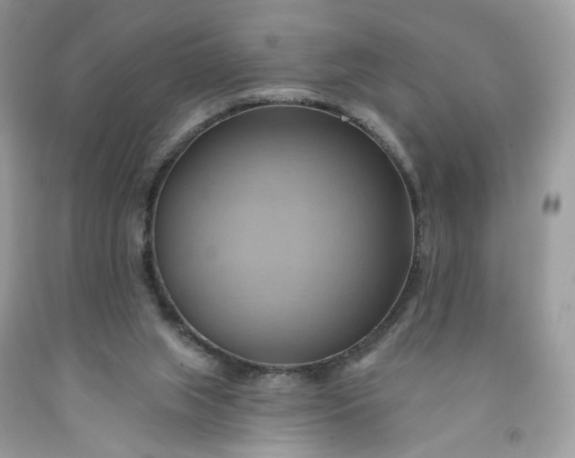 X0000091580063200709051109