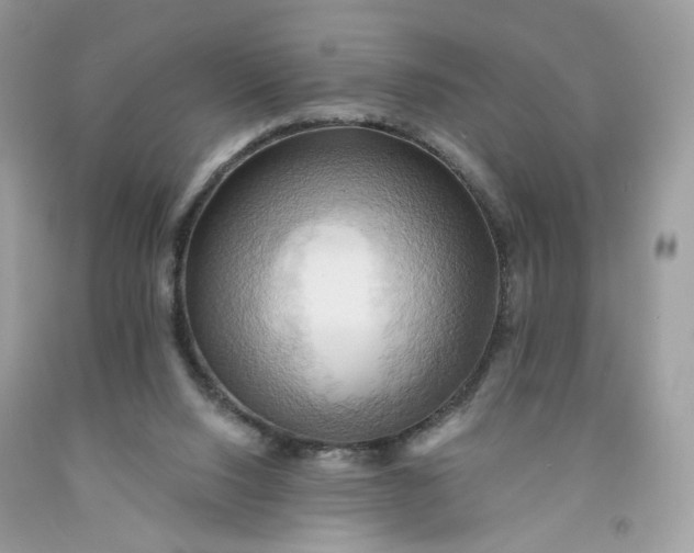 X0000091580064200709051109