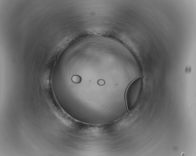 X0000091580065200709051109