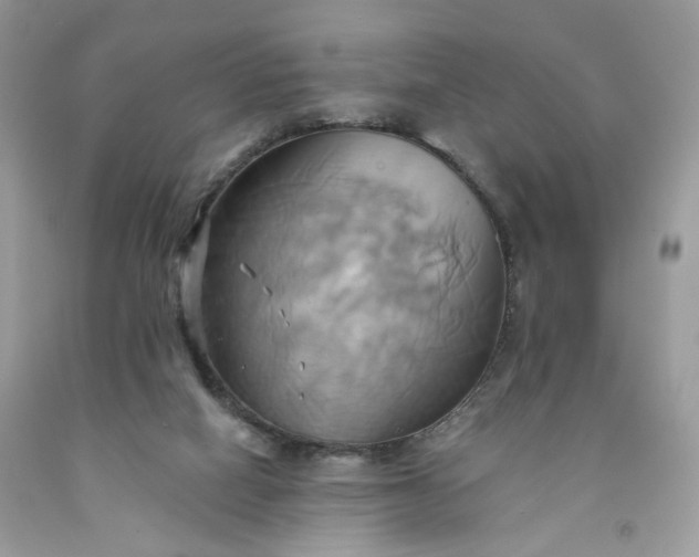 X0000091580066200709051109