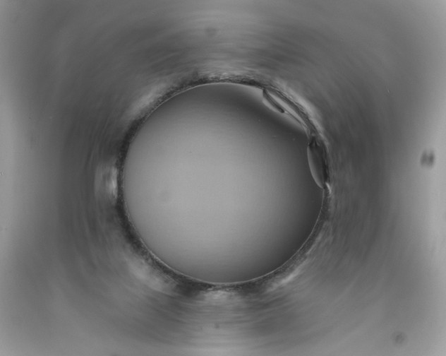 X0000091580067200709051109