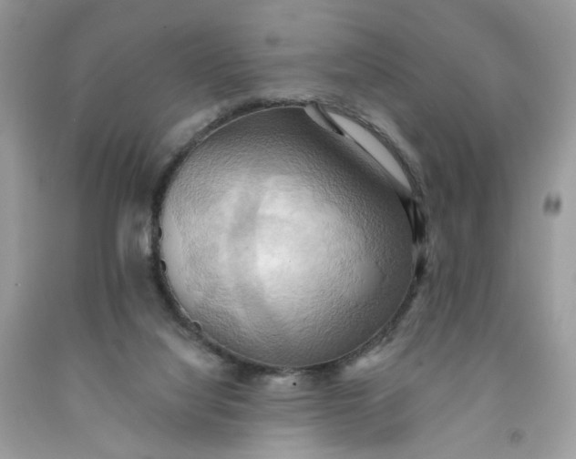 X0000091580068200709051109