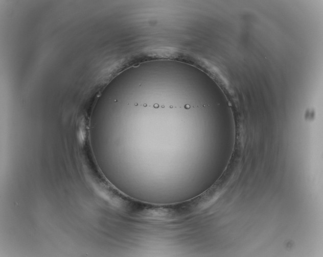 X0000091580069200709051109