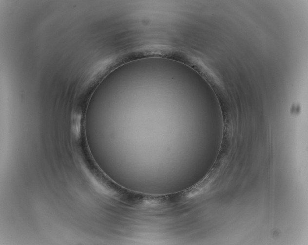 X0000091580070200709051109