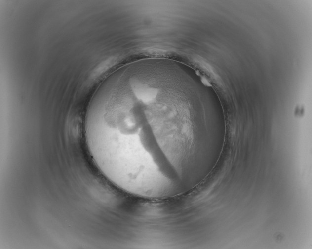 X0000091580071200709051109