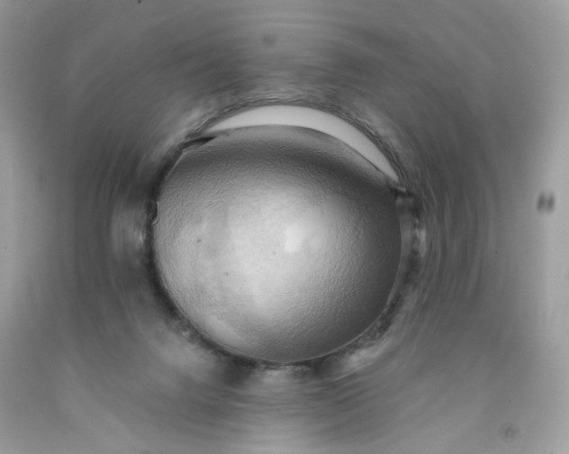 X0000091580072200709051109