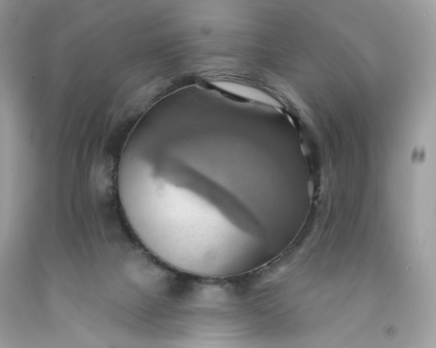 X0000091580073200709051109