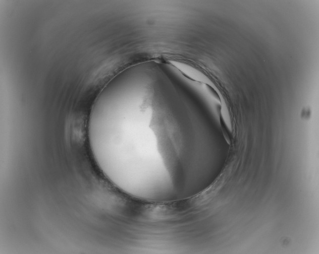 X0000091580074200709051109