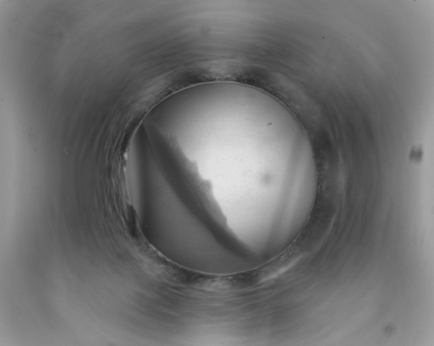 X0000091580075200709051109