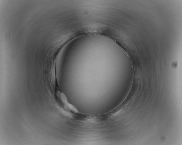 X0000091580076200709051109