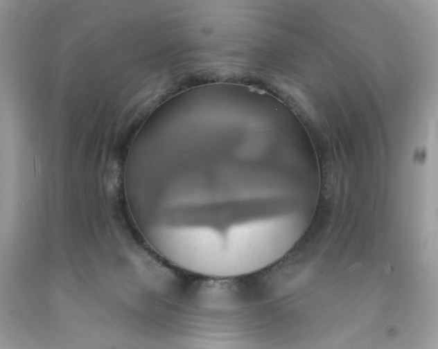 X0000091580077200709051109