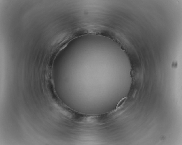 X0000091580078200709051109