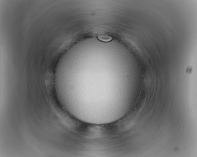 X0000091580079200709051109